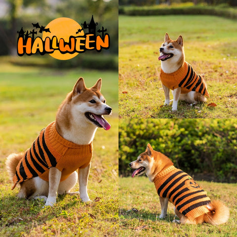 Halloween Dog Sweaters or Pet Costumes