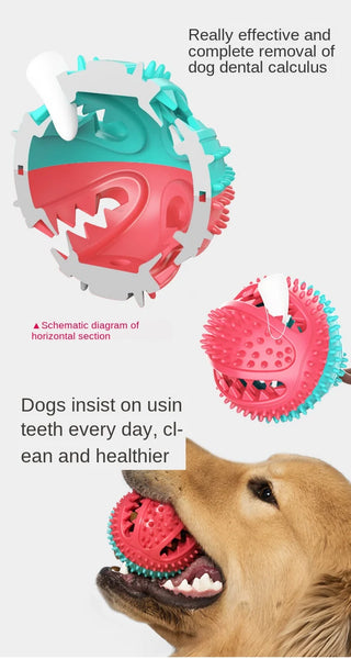 Dog Toy Silicon Suction Cup Tug Interactive Toy For Pets For Tooth Cleaning