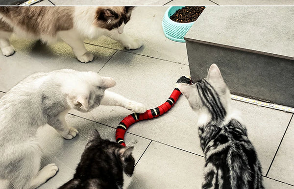 Smart Sensing Interactive Cat Toys Automatic Eletronic Snake Cat Teasering Play USB Rechargeable Kitten Toys for Cats Dogs Pet