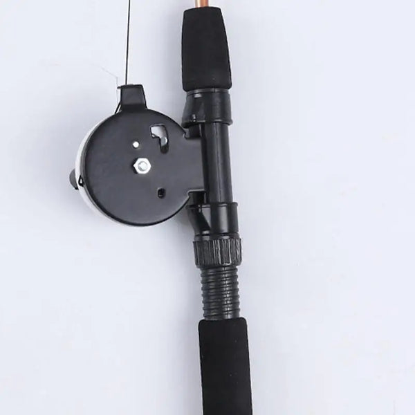 Retractable Cat Fishing Pole Toy and Chew Toy