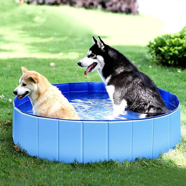 Foldable Dog Swimming Pool and Bathtub Outdoor or Indoor and Collapsible