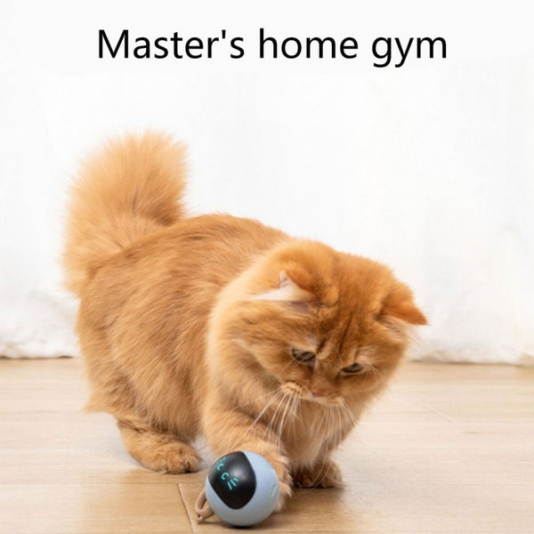 Interactive Smart Cat Toy USB Electric Automatic Jumping Ball