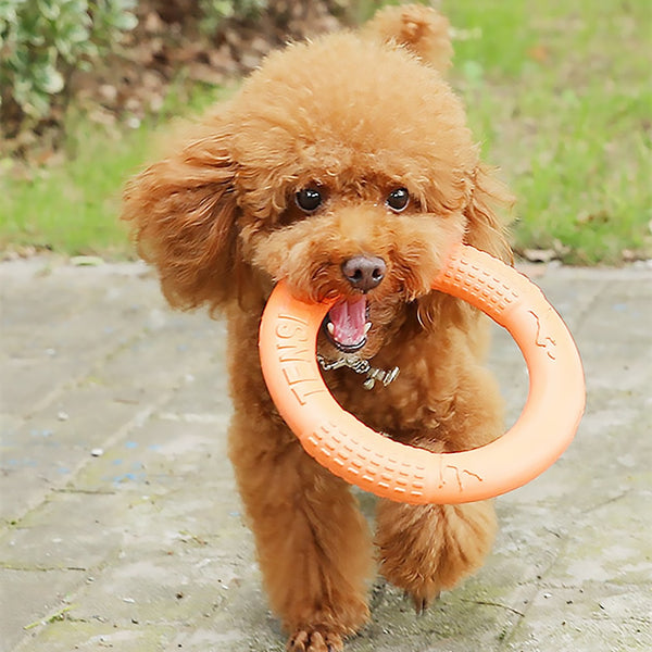 Flying Discs Dog Training Ring Puller Interactive Floating Toy