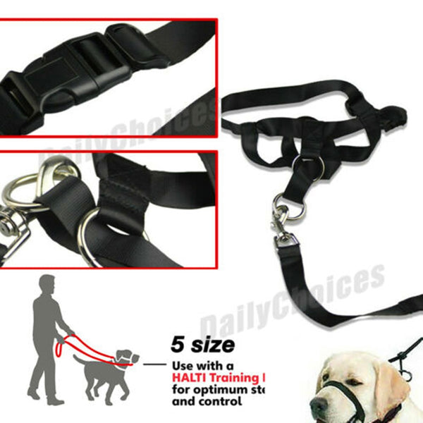 Nylon Dog Muzzle Dogalter Dog Halter Halti Training Head Collar Adjustable Gentle Leader Harness Anti Barking