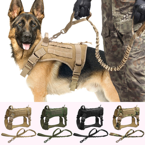 Dog Training Leash For Military Or Tactical Dogs Working Dog Bungee Leash