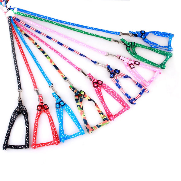 Cat Collar Harness Leash Adjustable Nylon Pet Traction Cat Kitten Dog Halter Collar gato Cats Products Pet Harness Belt