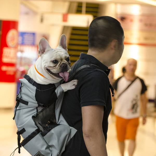 Breathable Dog Carrier Bag for Large Dogs Golden Retriever Bulldog Backpack Adjustable Big Dog Travel Bag