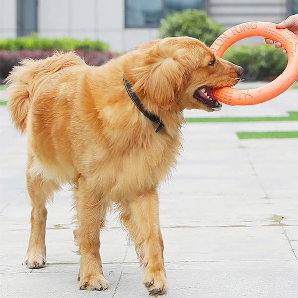 Flying Discs Dog Training Ring Puller Interactive Floating Toy