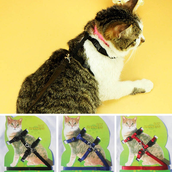 Cat Collar Harness Leash Adjustable Nylon Pet Traction Cat Kitten Dog Halter Collar gato Cats Products Pet Harness Belt