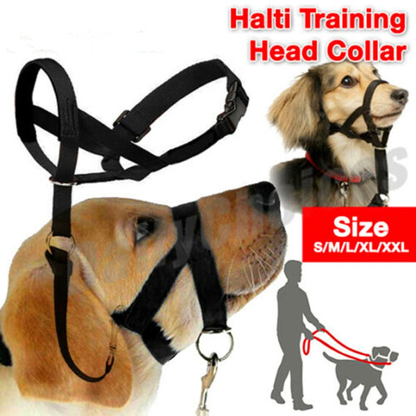 Nylon Dog Muzzle Dogalter Dog Halter Halti Training Head Collar Adjustable Gentle Leader Harness Anti Barking