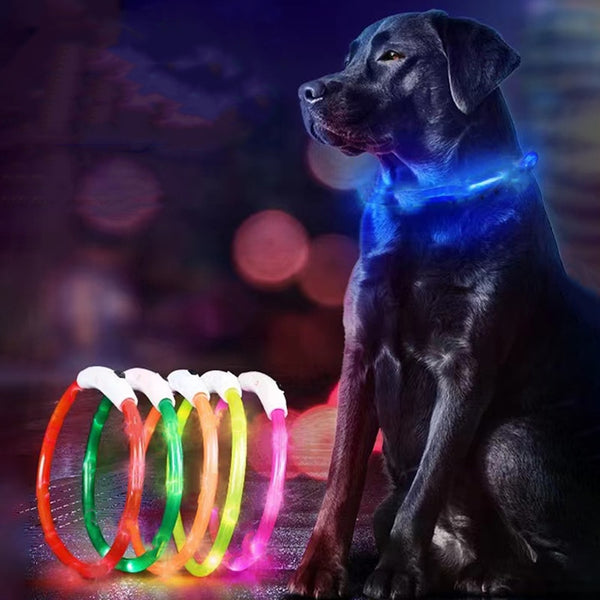 Glowing Dog Collar USB Charging Luminous Leash