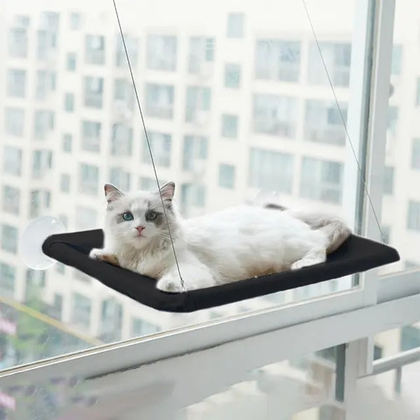 Hanging Cat Window Hammock Climbing Bed For Cats