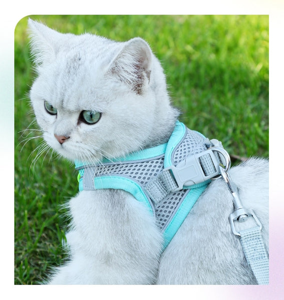 Cat Leash Set Escape Proof Harness Breathable Walking Leash