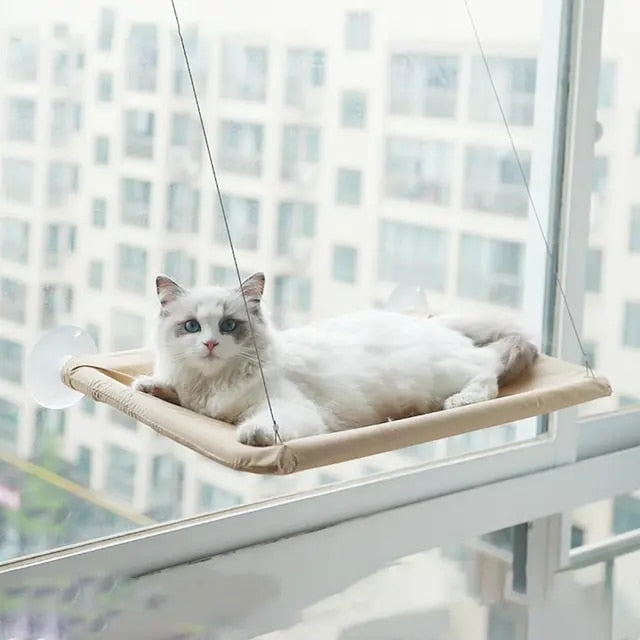 Hanging Cat Window Hammock Climbing Bed For Cats