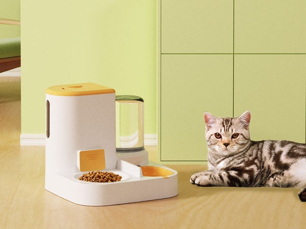 Automatic Cat Feeder & Water Dispenser Large Capacity Food Container Stainless Steel Drinking Water Bowl