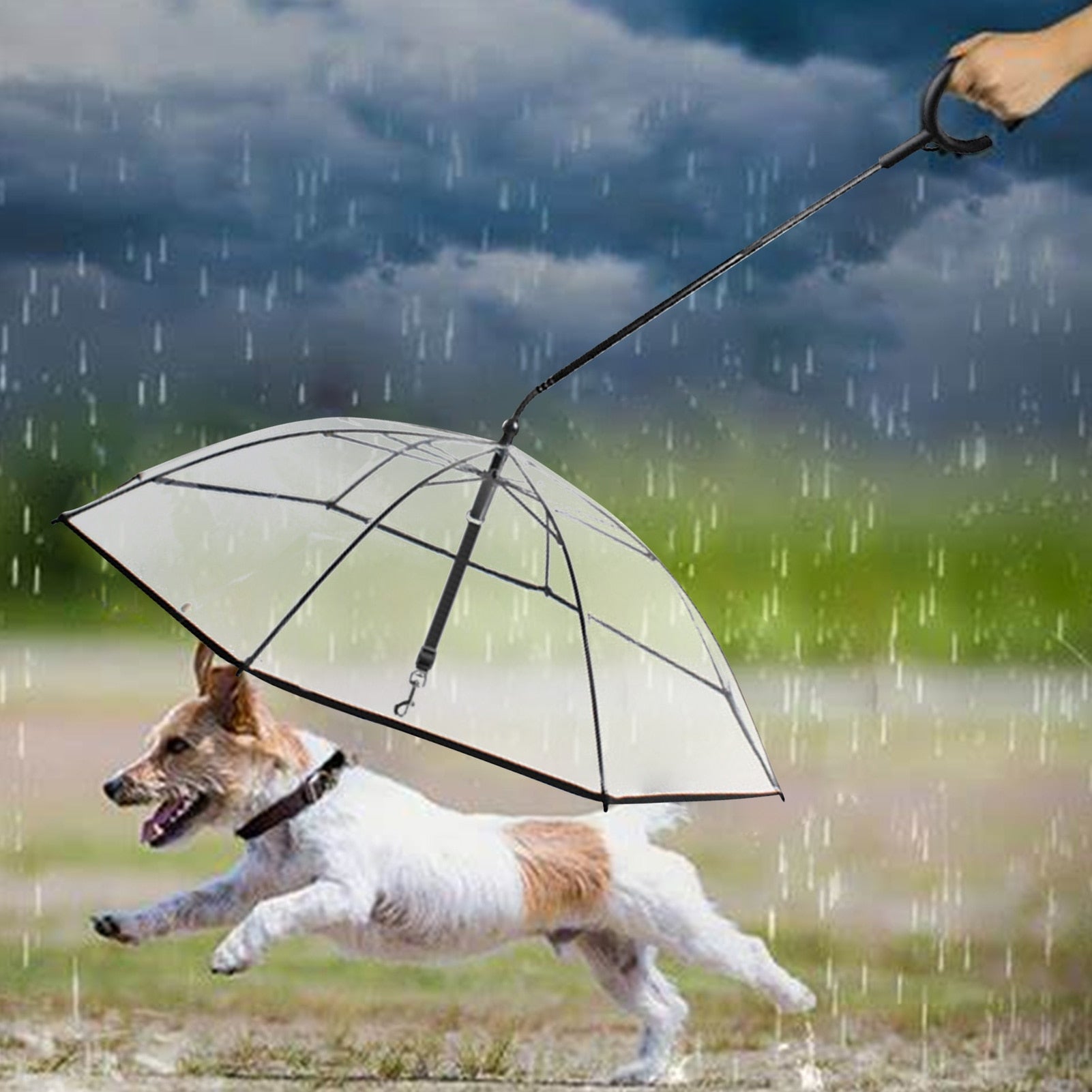 Transparent Adjustable Pet C-shaped Umbrella For Walking Pet In Rain Or Snow