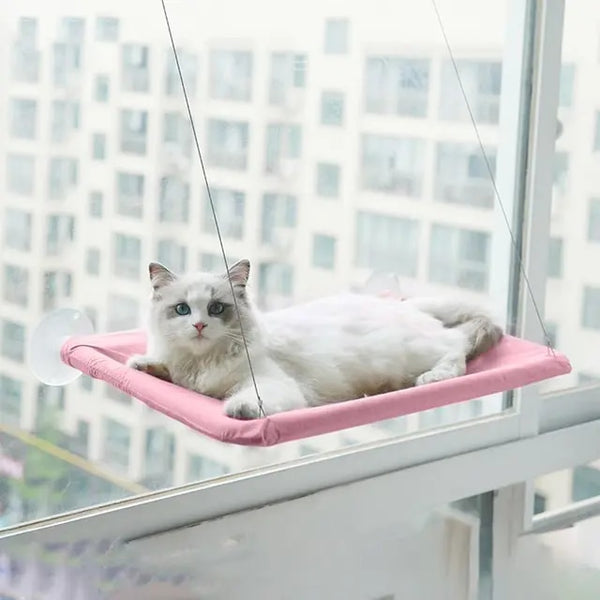 Hanging Cat Window Hammock Climbing Bed For Cats