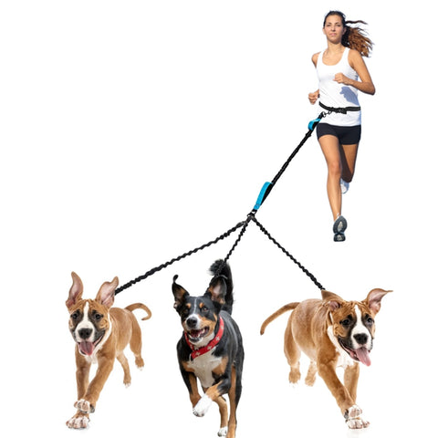 3 Way Connecting Dog Walking Leash Braided Nylon Waist Dog Leash