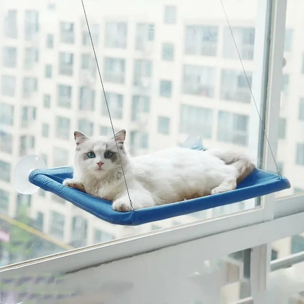 Hanging Cat Window Hammock Climbing Bed For Cats