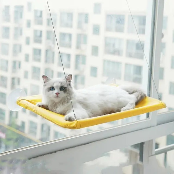 Hanging Cat Window Hammock Climbing Bed For Cats