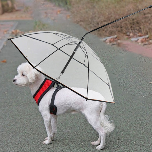 Transparent Adjustable Pet C-shaped Umbrella For Walking Pet In Rain Or Snow