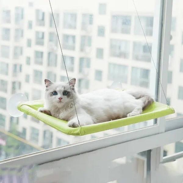 Hanging Cat Window Hammock Climbing Bed For Cats