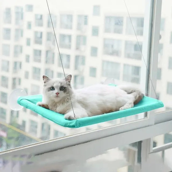 Hanging Cat Window Hammock Climbing Bed For Cats