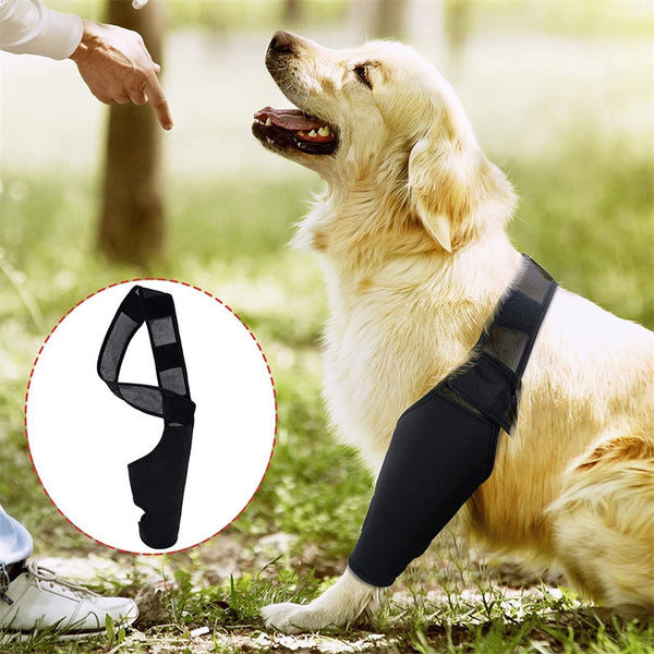 Dog Front and Rear Leg Knee Pad Recovery Bandage Anti-lick Breathable Pain Relief For Dogs