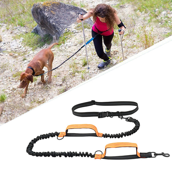 Retractable Hands Free Dog Leash For Running Double Handles Elastic Cord Reflective Large Dog Leash