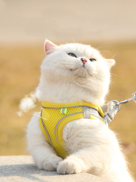 Cat Leash Set Escape Proof Harness Breathable Walking Leash