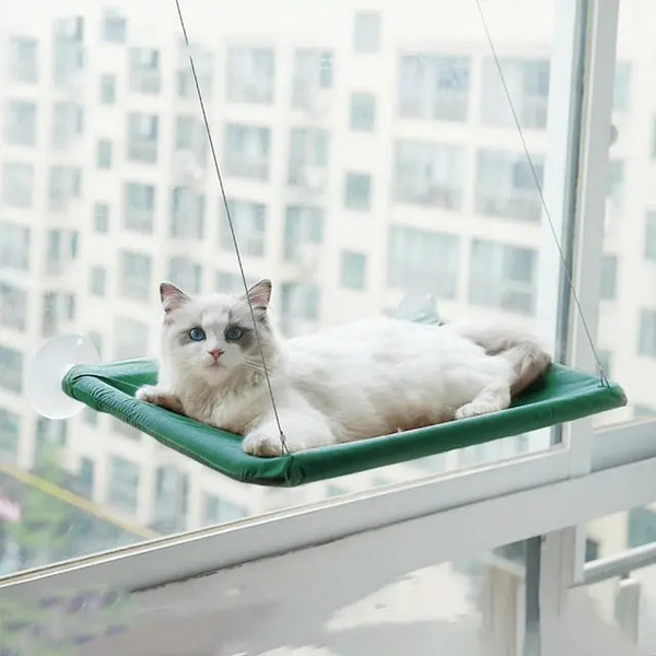 Hanging Cat Window Hammock Climbing Bed For Cats