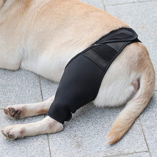 Dog Front and Rear Leg Knee Pad Recovery Bandage Anti-lick Breathable Pain Relief For Dogs