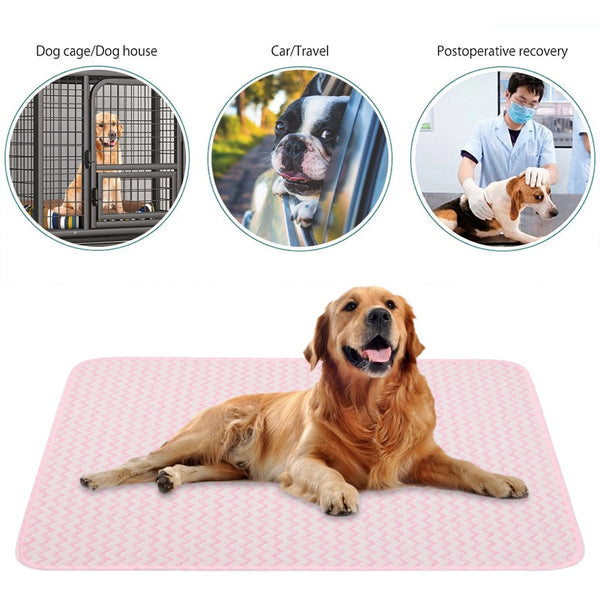 Portable Washable Pet Urine Pad Dog Training Mat