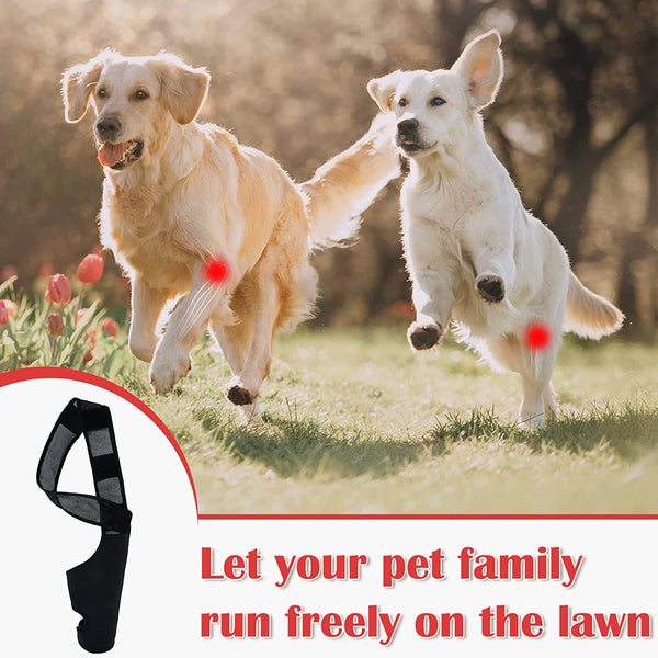 Dog Front and Rear Leg Knee Pad Recovery Bandage Anti-lick Breathable Pain Relief For Dogs