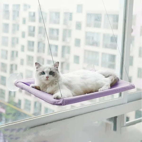 Hanging Cat Window Hammock Climbing Bed For Cats