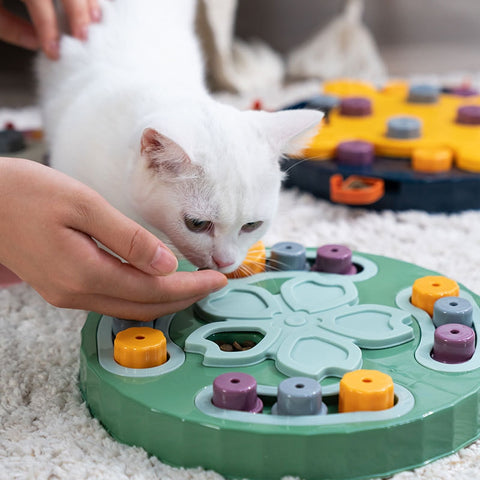 Cat or dog Puzzle Toys Automatic Feeder Training Relieve Boredom Educational Interactive Increase IQ Food Dispenser NonSlip