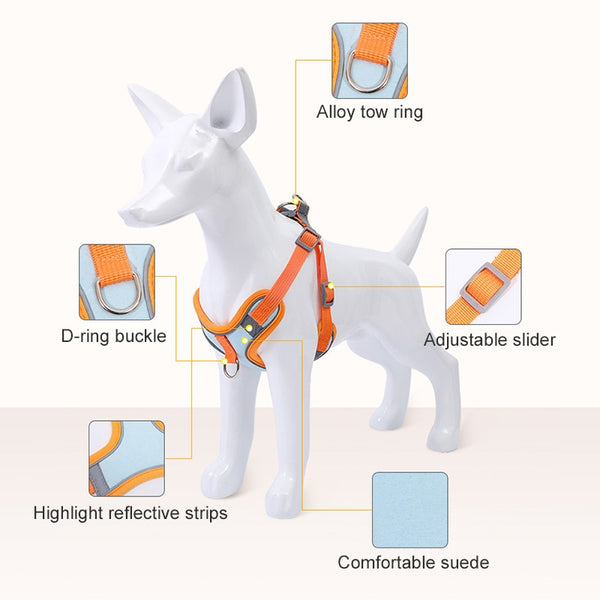 Dog Harness for Small Dogs Cats Reflective Pet Chest Vest Leash Adjustable Breathable Pet Harness And Leash Set Dog Accessories