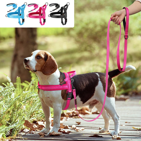 Adjustable Reflective Nylon Dog Leash Set