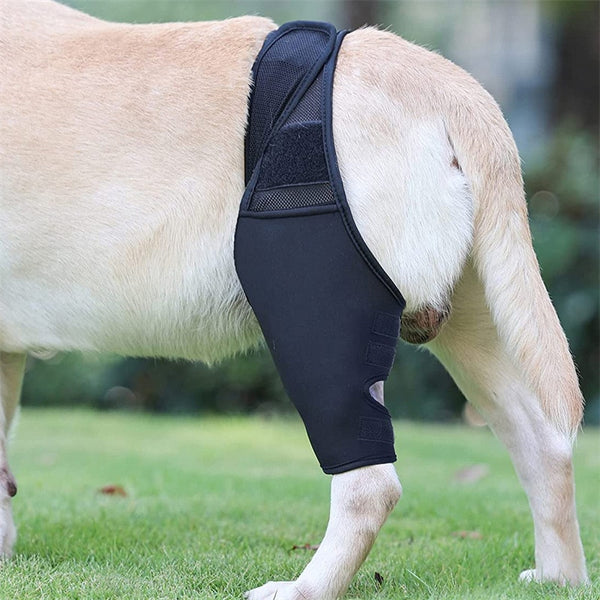 Dog Front and Rear Leg Knee Pad Recovery Bandage Anti-lick Breathable Pain Relief For Dogs