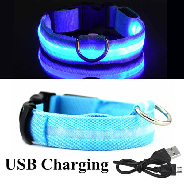 Led Light Dog Collar Electronic Luminous Adjustable Neck Strap Medium Small Breeds Dogs Accessories Pet Supplies French Bulldog