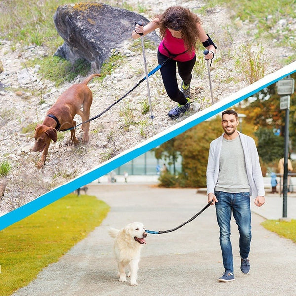 Retractable Hands Free Dog Leash For Running Double Handles Elastic Cord Reflective Large Dog Leash