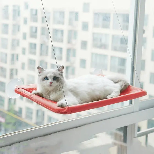 Hanging Cat Window Hammock Climbing Bed For Cats