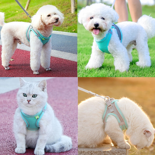 Cat Leash Set Escape Proof Harness Breathable Walking Leash